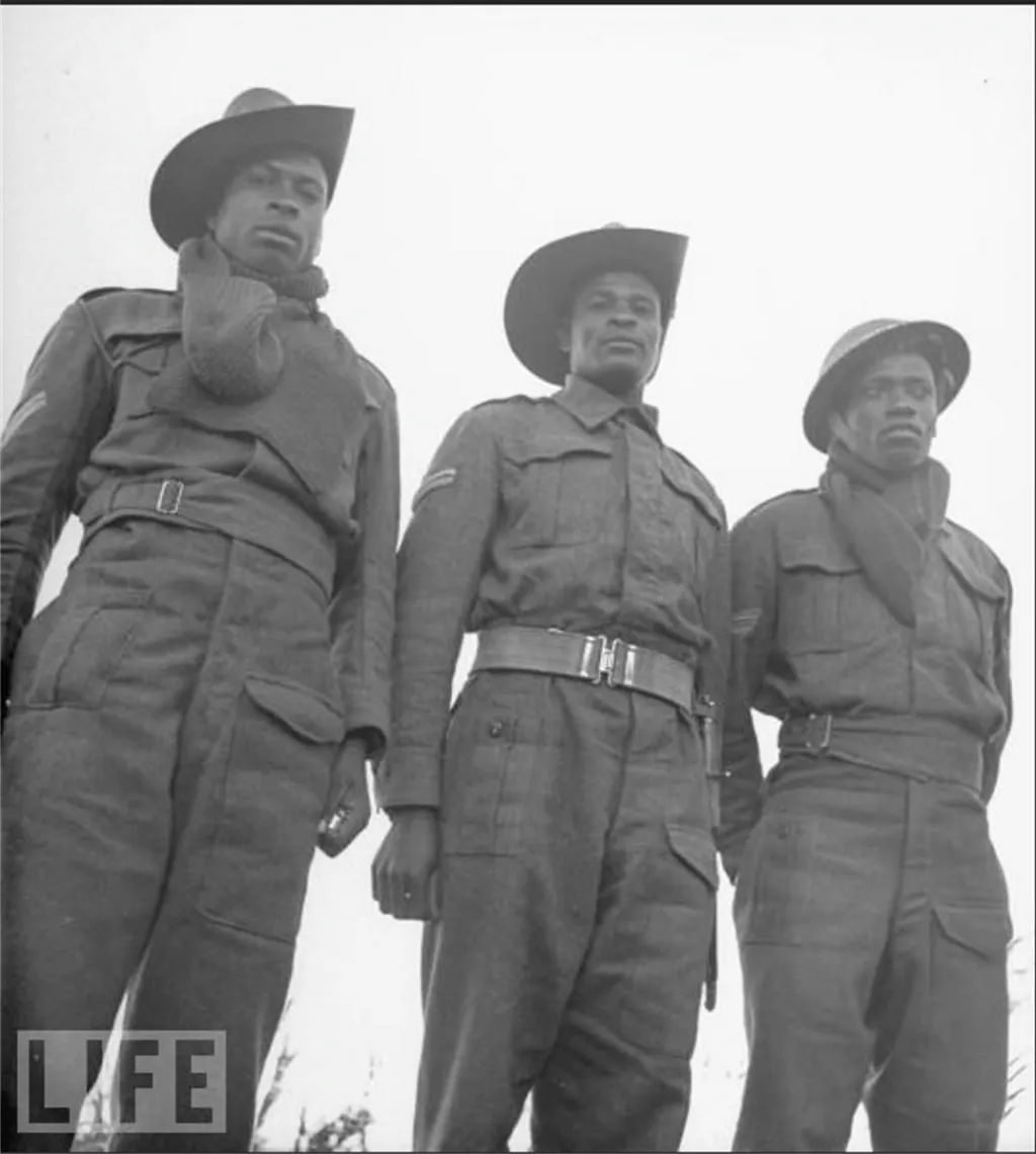 "World War II involving members of the South African Native Military Corps"