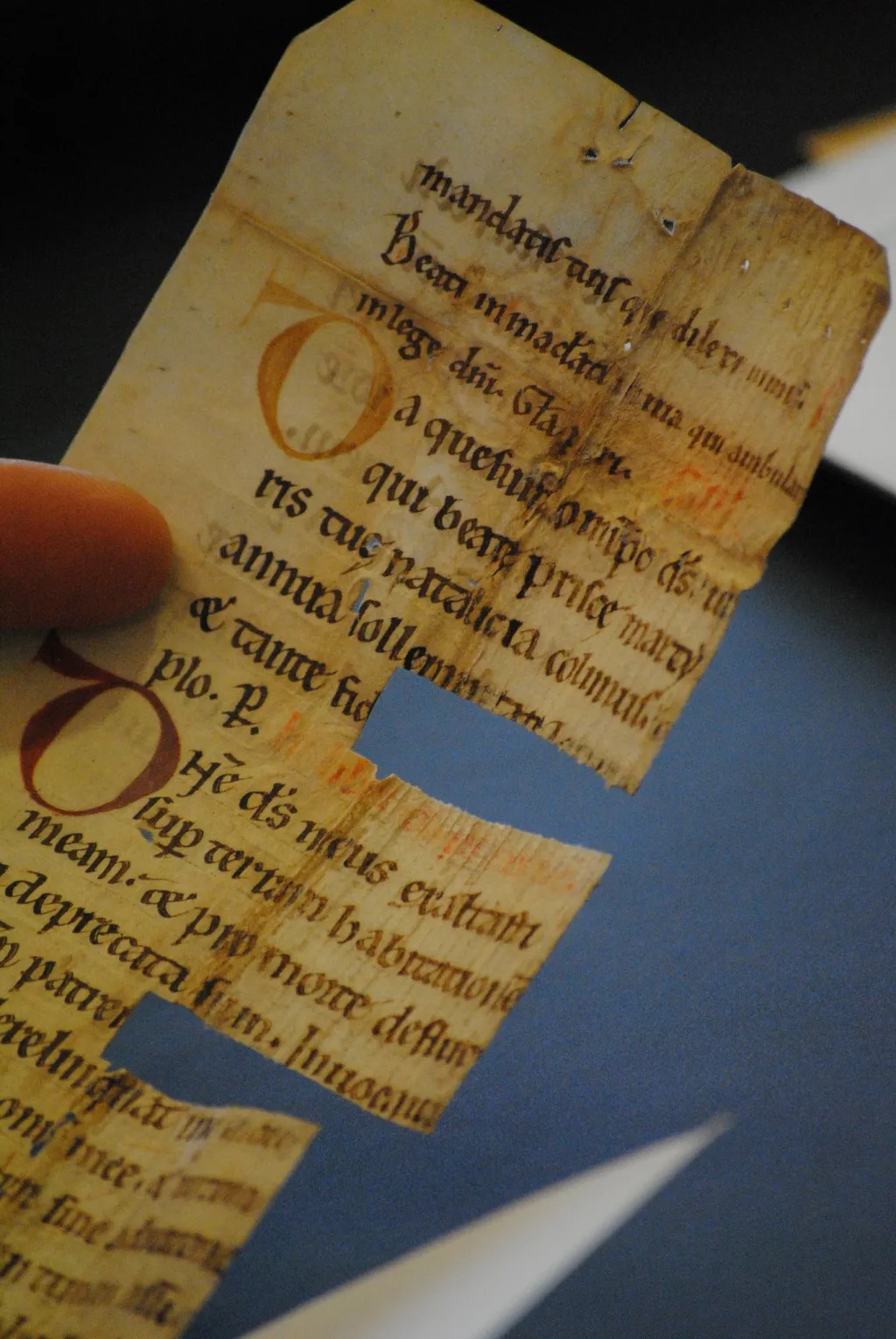 "Manuscript fragment salvaged from an early modern book binding in the Hidden Library Project at Leiden University Library."