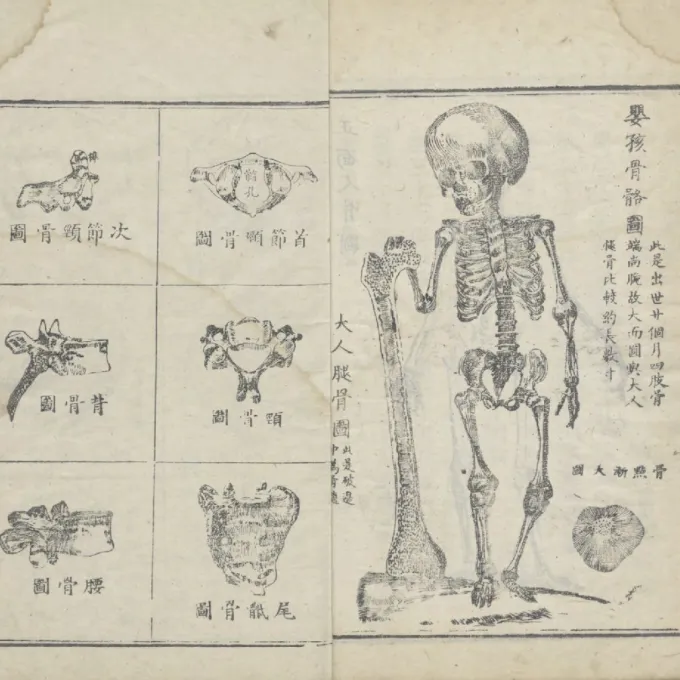 "Quanti Xinlun (全體新論, A New Treatise on Anatomy), a landmark 19th-century medical text compiled by the British medical missionary Benjamin Hobson (合信) and his Chinese collaborator Chen Xiutang (陳修堂). First published in China in 1851"